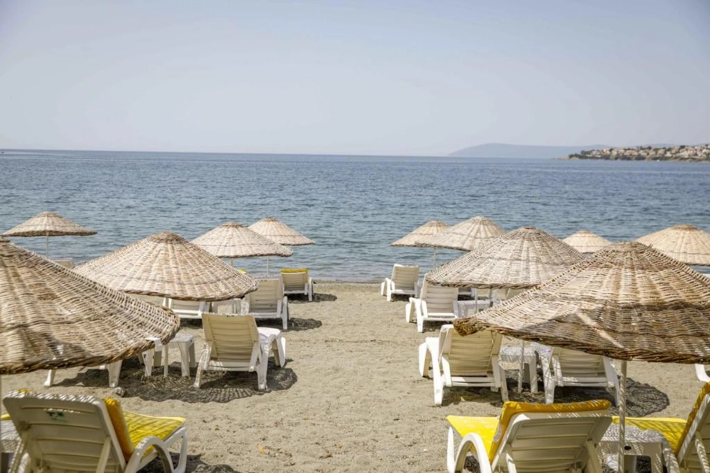 Teos Ormancı 3