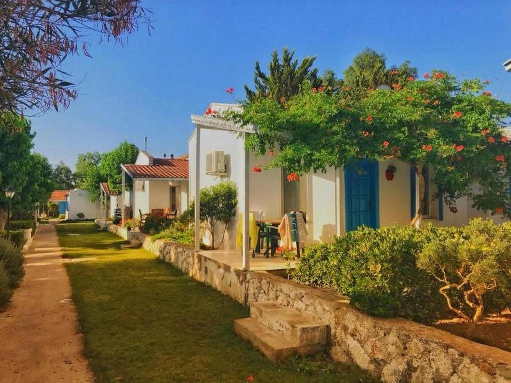 Teos Ormancı 1
