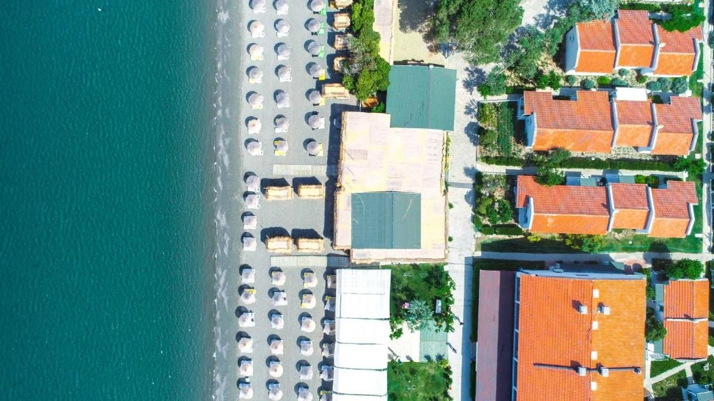 Teos Ormancı 7